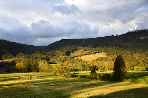 Bogota´ Altiplano
