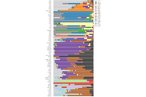 ADMIXTURE15.png