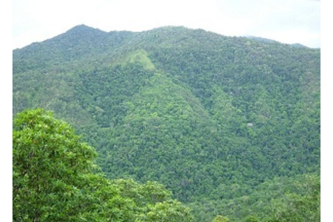 800px-DSC00686Cairns.jpg