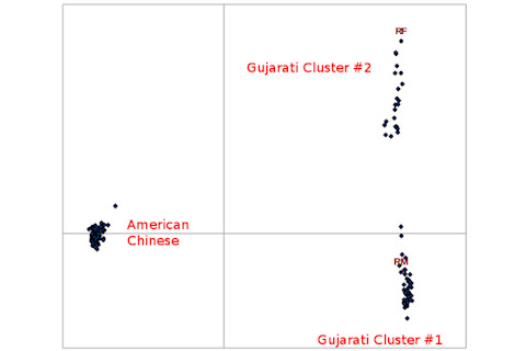 CHD_SouthAsian21.png