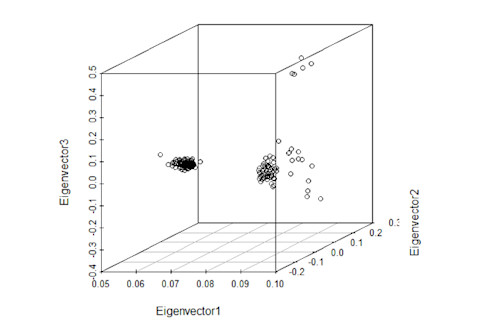 CHD_SouthAsian3D.png
