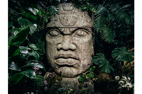 Ancient Artifact: Olmec Colossal Heads