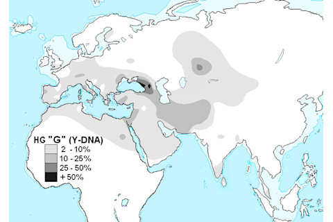 Haplogrupo_G_ADN-Y.png