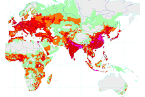 800px-World_population_density_1994.png