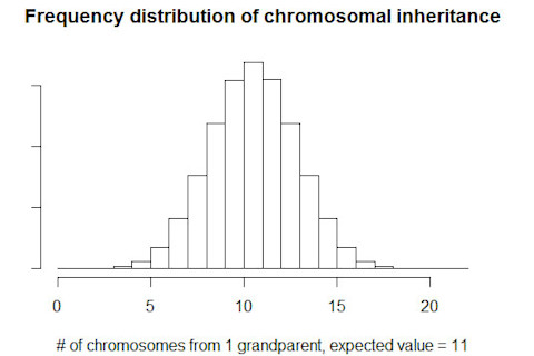 Rplot01.jpg