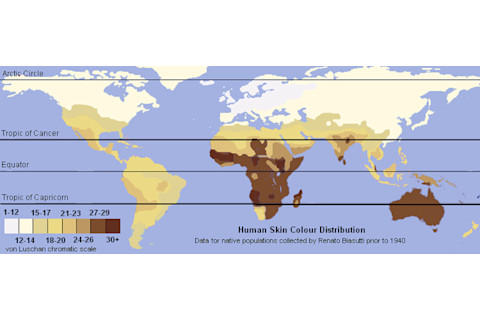 Unlabeled_Renatto_Luschan_Skin_color_map.svg_1.png