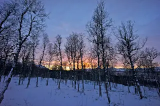 First-Light-1-1024x682.jpg