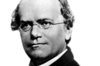 Gregor_Mendel.png