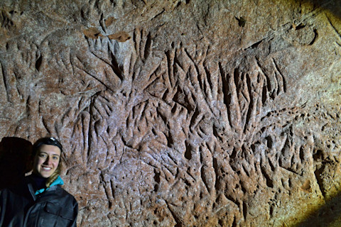 Paleoburrow - Heinrich Frank