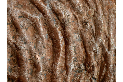 Paleoburrow Claw Marks - Heinrich Frank