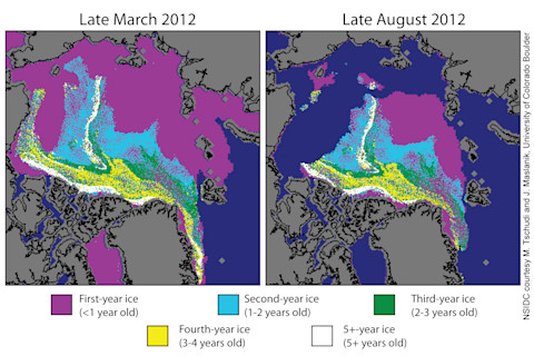 Multiyear-ice-decline.png