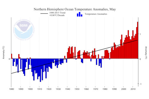 Climate_at_a_Glance__Time_Series___National_Centers_for_Environmental_Information__NCEI_1-1024x601.png