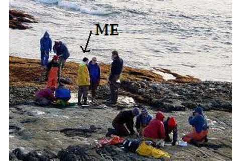 marine.JPG