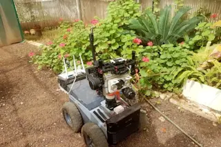 Robat can&#039;t fly. But the autonomous robot can use echolocation to survey its environment. (Robat is a fully-autonomous bat-like terrestrial robot that uses echolocation to navigate its environment. (Credit: Itamar Eliakim)