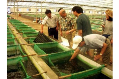 aquaculture-300x225.jpg