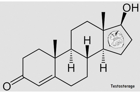 roid_rage_testosterone