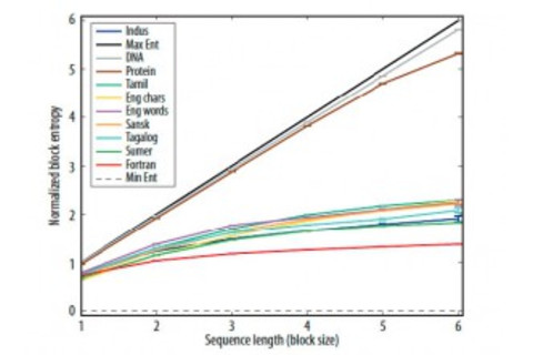 Disorder in Scripts - journal Computer