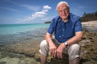 David_Attenborough_at_Great_Barrier_Reef.jpg