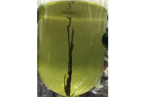 Beaker-3-220x300.jpg