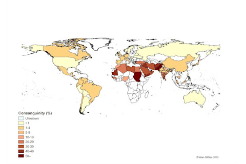 Map: marriages between second cousins or closer - consang.net