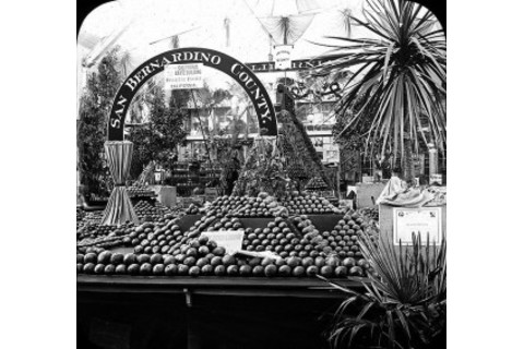 633px-Worlds_Columbian_Exposition-_Horticultural_Building_Chicago_United_States_1893.-300x283.jpg