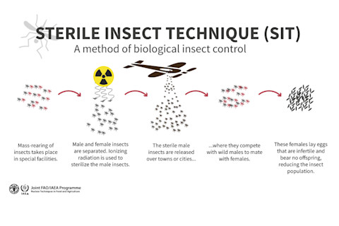 sit-infographic_insectcontrol_810x540.png