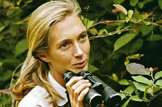 jane-goodall.jpg