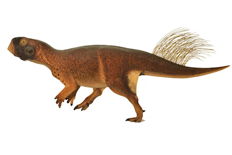Psittacosaurus.jpg