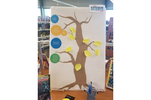 tree-display-768x1024.jpg