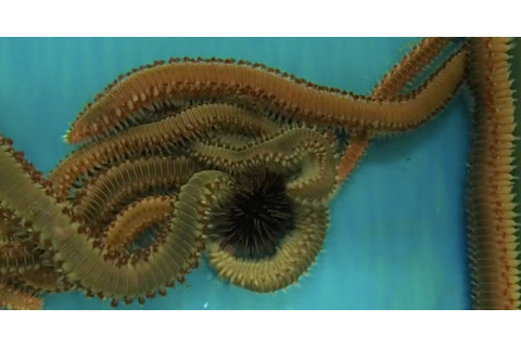 Screen-Shot-2017-10-12-at-1.54.09-PM