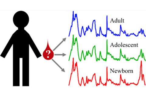 Subtle but distinct differences emerge in the structure of red blood cells based on the approximate age of the individual. (Credit: ACS)