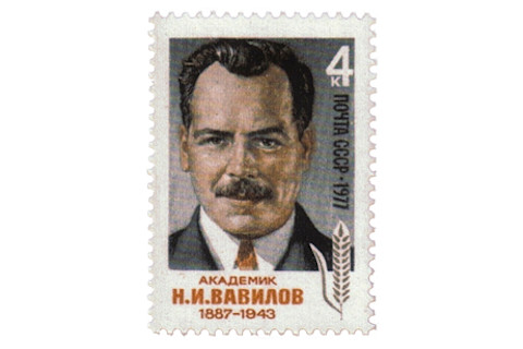 Vavilov1.jpg
