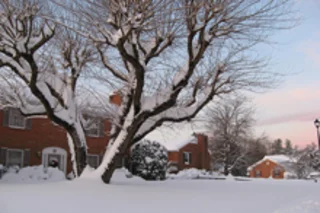 snowstorm.jpg