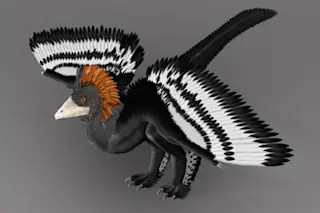 DinoFeathersFeb5.jpg