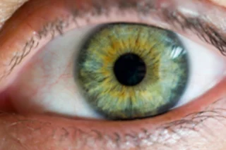 eye220.jpg