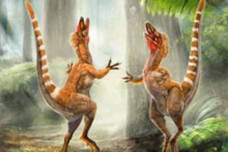 dinoColor.jpg