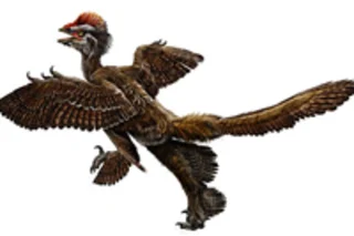 four-winged-dino.jpg