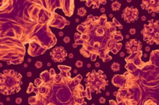 Viruses - iStockPhoto