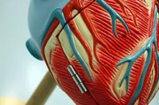 heartweb.jpg