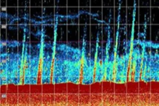 methane-plumes.jpg