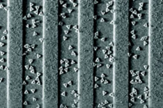 dna-chip.jpg