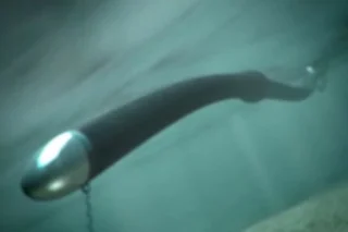 anaconda1.jpg