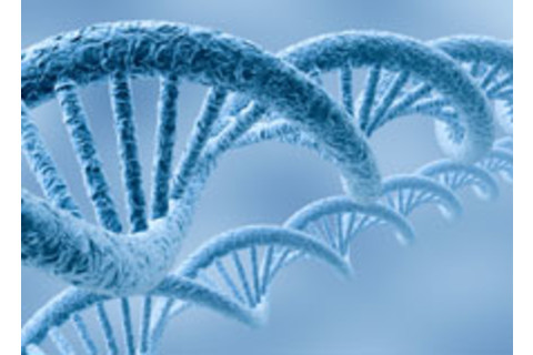 dna-3.jpg