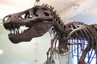 t-rex.jpg