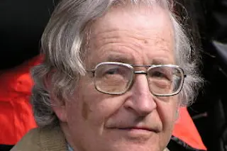 chomsky media 300x255.jpg