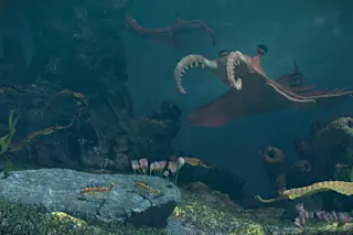 Underwater creatures of the Cambrian period (3d science rendering)