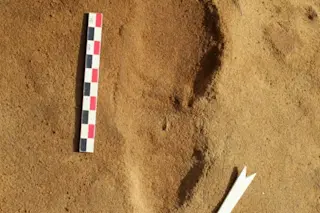 Neanderthal-Footprint