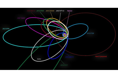 Planet 9 cluster