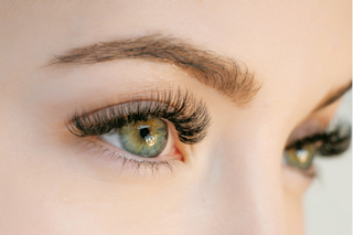 Do eyelashes exist, in part, to keep our eyes from drying out? (Credit: KDdesignphoto/Shutterstock)