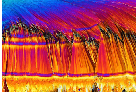 Saccharin crystals - Stefan Eberhard